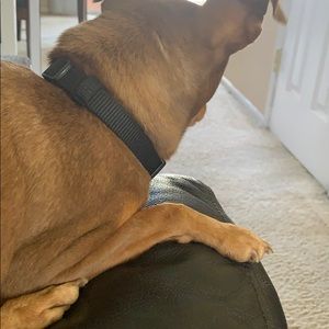 Meet your Posher, Veronica